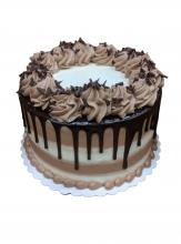 Tiramisu Dessert Cake Tiramisu Dessert Cake