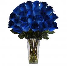 Blue Angel