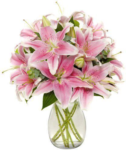 12 Stem Pink Lilies Vase product695