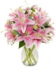 12 Stem Pink Lilies Vase 12 Stem Pink Lilies Vase